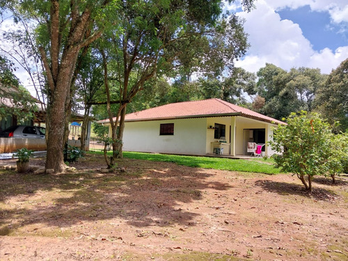 Chácara Na Lapa (feixo), Próximo A Mariental, Com 44.000 M2