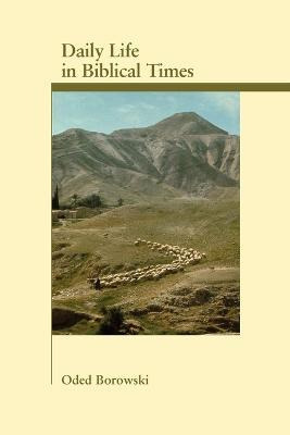 Libro Daily Life In Biblical Times - Oded Borowski