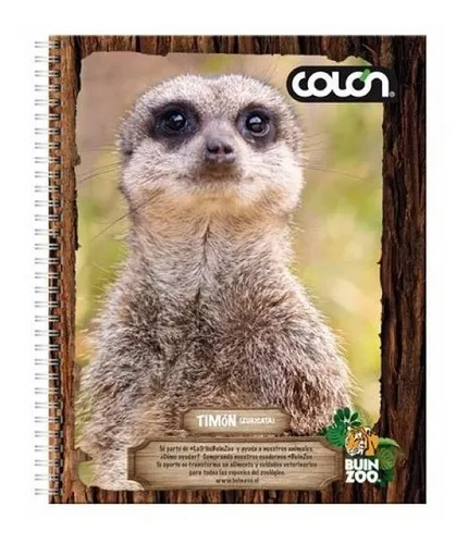 Cuaderno Universitario Buin Zoo 100h 7mm Pack 10 Uni. Colon