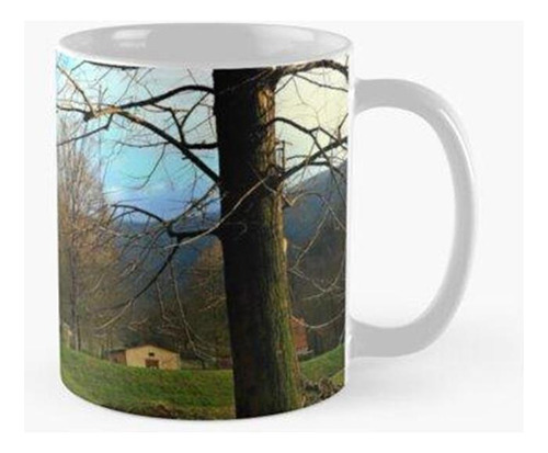 Taza Valle Di Mompiano Calidad Premium