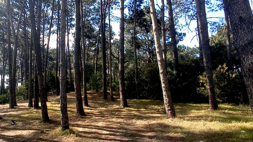Venta Lotes Arroyo El Potrero- Punta Ballena (ref: Atm-2416)