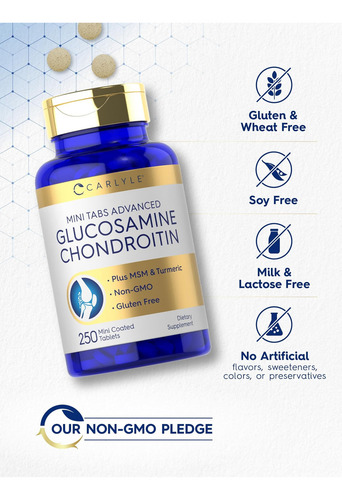 Carlyle Glucosamina Condroitina Msm Cúrcuma | 250 Minicompri