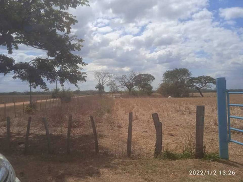 Imagen 23 de 28 de Finca En Venta Guarico