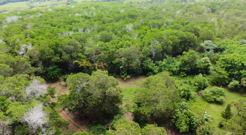 Finca De 887 Tareas En República Dominicana