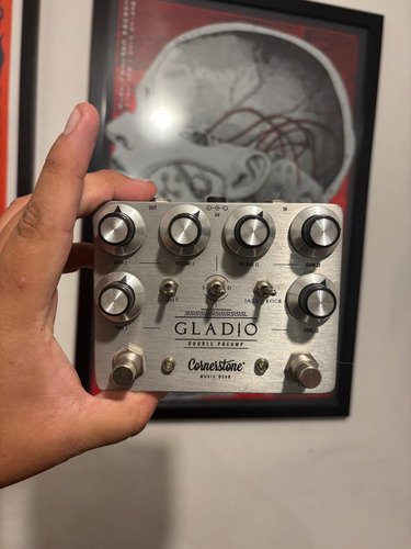 Gladio Cornerstone Dual Overdrive Strymon Boss Fuzz Gris (Usado)