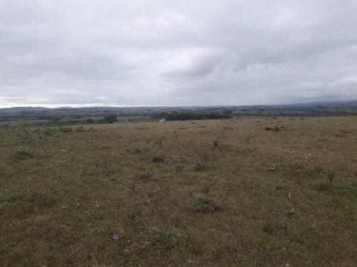Campo De 47 Has En Paraje Los Caracoles - Consulte !!!!!- Ref: 1359