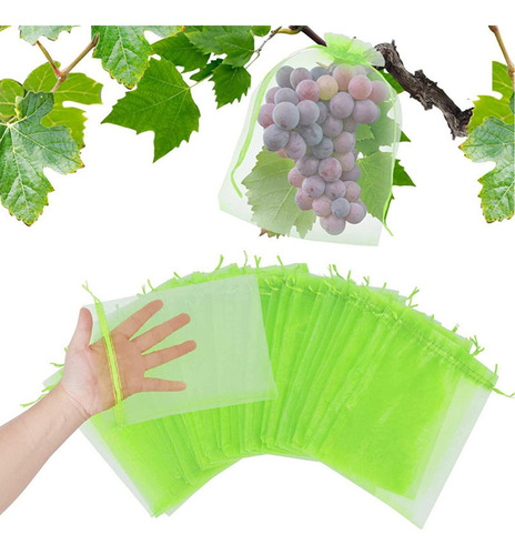# Bolsas De Protección De Frutas Para Árboles Verde Claro