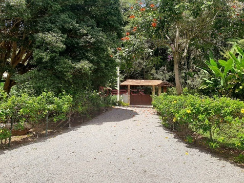 Imagem 23 de 23 de Propriedade Com 72 Mil M² De Área Total Em Andradas. - St00187 - 69390032