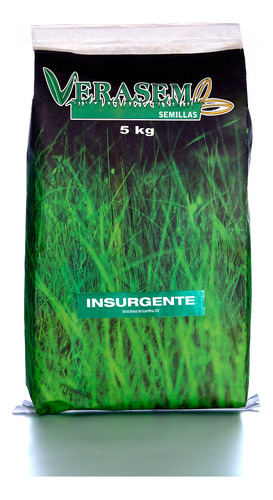 Semilla De Pasto Verasem Insurgente 5 Kg 