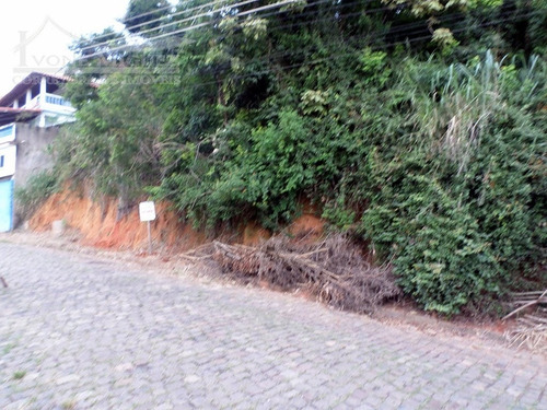 Imagem 2 de 7 de Terreno Em Parque Barcellos - Paty Do Alferes - 2219