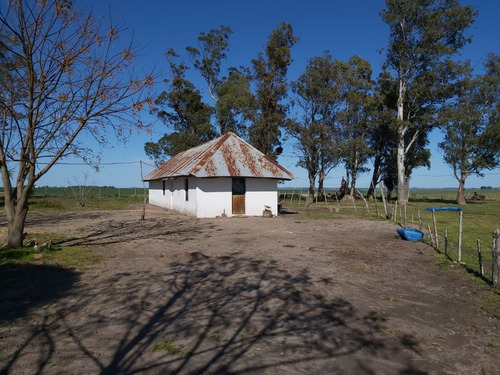 San José Campo Agrícola Ganadero Con Costa De Arroyo 331 Has