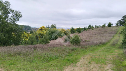Parcela De 5000 Mtrs En Venta En Portezuelo Chillan Chillán