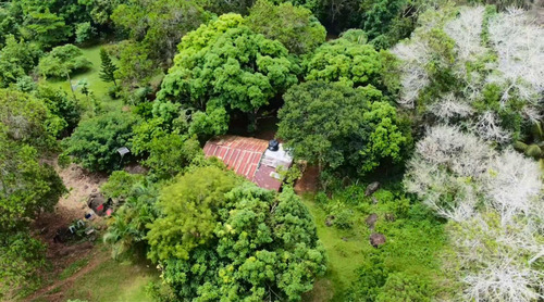 Finca De 887 Tareas En República Dominicana