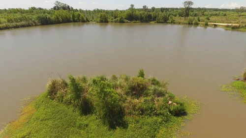 Imagen 20 de 21 de Lote Interno Con Opción De Amarra - Bahia Villa Nueva, Tigre