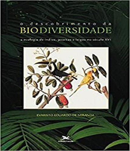 Descobrimento Da Biodiversidade - A Ecologia De Indios, Jesu, De Miranda, Evaristo Eduardo De. Editora Edições Loyola, Capa Mole Em Português