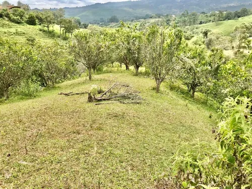 Bitaco, 19.200 M2, Lote En Venta