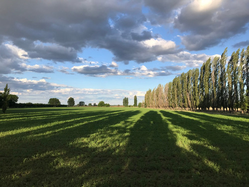 Finca Gral Alvear, 71 Hcts,en Producción Y Con Equipamiento.