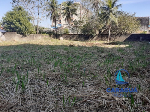 Imagem 8 de 21 de Area - Ar00004 - 1467501
