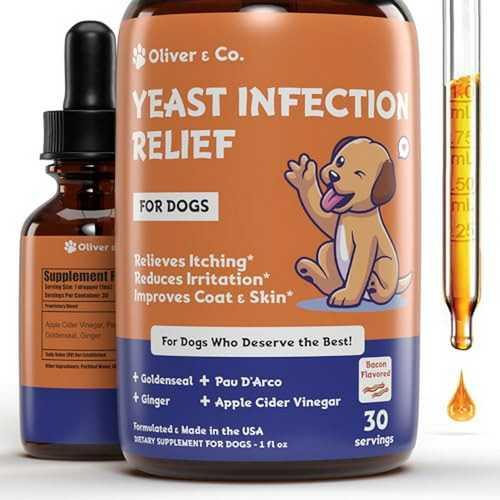 Tratamiento Natural Para Infecciones Por Levaduras En Perros