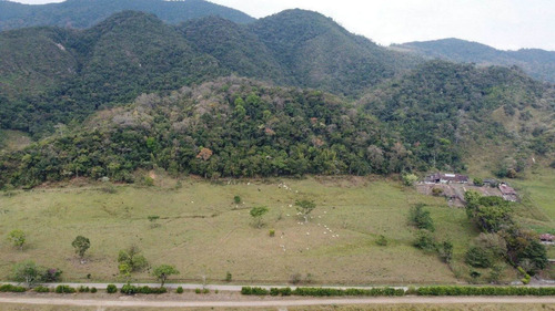 Imagen 27 de 30 de Finca Ganadera En Venta Táchira
