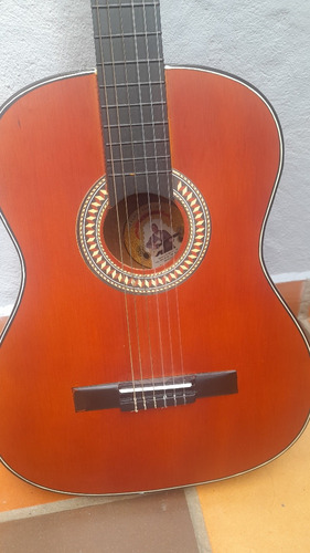 Se Vende Guitarra Acústica 