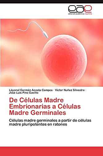 De Celulas Madre Embrionarias A Celulas Madre Germinales: Ce