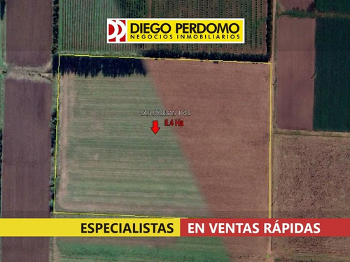 Imagen 3 de 7 de Chacra De 5.4 Ha En Venta Colonia Wilson