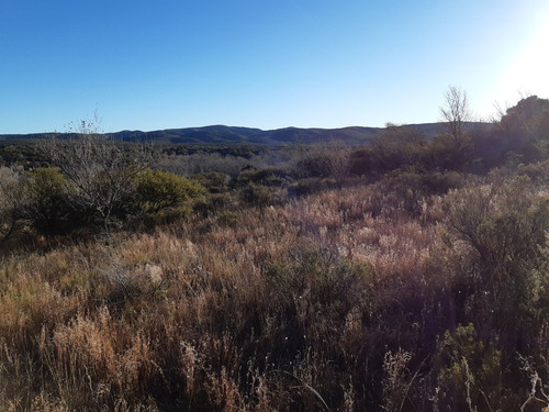 Imagen 2 de 7 de Espectacular Fracción De 2 Ha / San Esteban