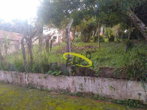 Imagem 10 de 13 de Terreno À Venda, 394 M² Por R$ 370.000,00 - Jardim Adelina - Cotia/sp - Te0911