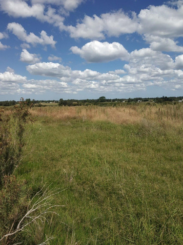 Vendo 3 Has Linda Zona Campo Alto Buena Vista Consulte!!!!!