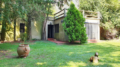 Imagen 8 de 30 de Casa Quinta 6 Amb Quincho Parrilla Pileta 5 Lotes Arbolados En Alejandro Petion Cañuelas