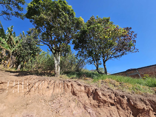 Terreno 10x35 Próximo Ao Centro Embu Das Artes