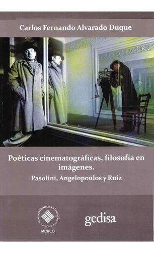 Libro Poéticas Cinematográficas, Filosofía En Imágenes