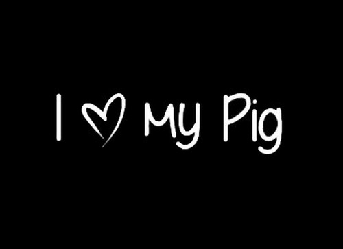 Etiquetas De Automoción - I Love My Pig | Decal Vinyl Sticke