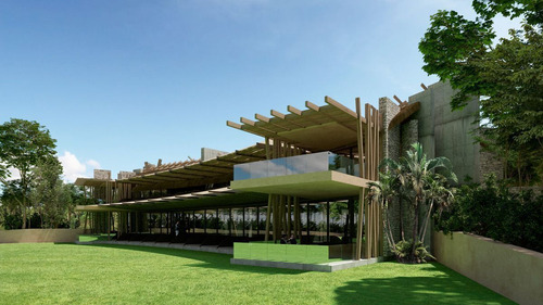 Lote En Venta En Medio De La Selva Puerto Morelos