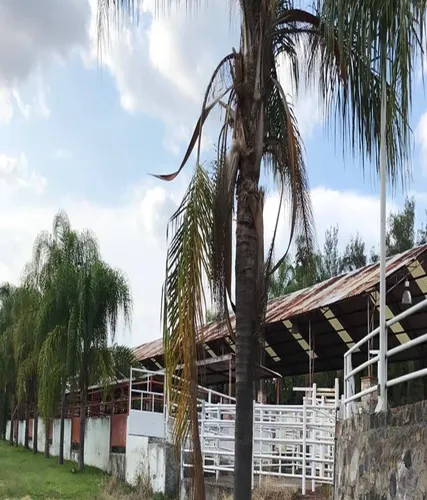 Espectacular Rancho