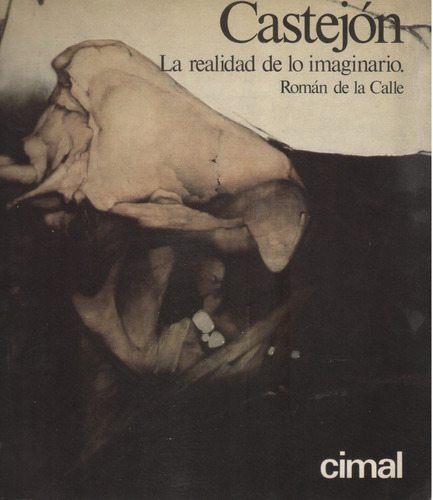 Román De La Calle : Castejón , La Realidad De Lo Imaginario