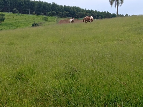 Imagem 2 de 4 de Sítio 5,7 Alqueires Frente Asfalto,localização Top,terra Fertil,muito Boa,ótimo Para Plantação,gado,granjas - Ar00014 - 69179725
