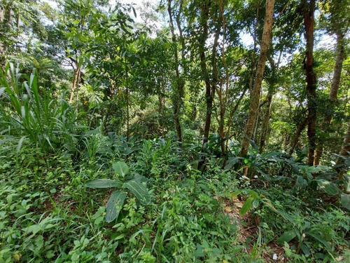 Imagem 13 de 14 de Terreno À Venda, 3235 M² Por R$ 180.000 - Parque Suiço - Mairiporã/sp - Te0832
