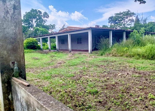 Inmobiliaria Mundo Inn Vende En Cojedes, Hermosa Finca Productiva