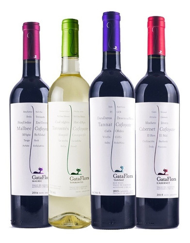 Vino Gata Flora Mix Degustacion Por 4 Y Chocolate De