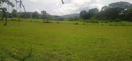 Imagen 2 de 30 de Finca En Guigue, 35 Hectareas. 5610462