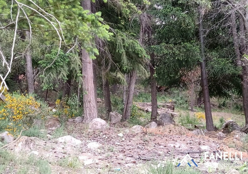 Lotes En Villa Traful (cód. 216)