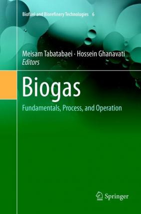 Libro Biogas : Fundamentals, Process, And Operation - Mei...