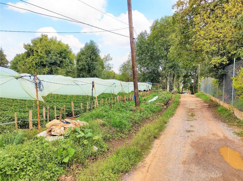 Imagen 5 de 14 de Terreno Para Fraccionamiento O Rancho, Agua Abundante, Frent
