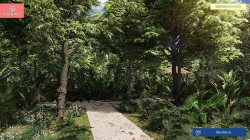 Imagen 17 de 26 de Lote En Venta En Cancún Con Financiamiento Y Rodeado De Naturaleza Perfecto Para Renta Vacacional
