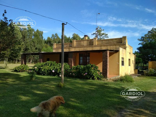 Venta De Chacra Con Casa En Colonia Riachuelo