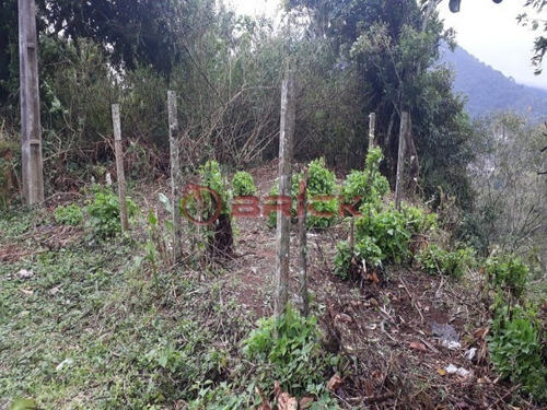 Imagem 2 de 4 de Terreno Com 240 M² Próximo A Feirinha Do Alto. - Te00246 - 34190594