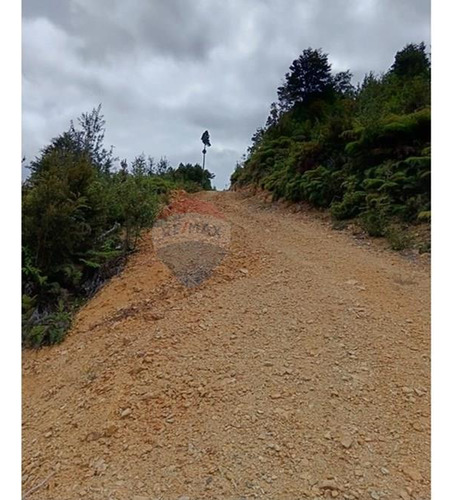 Parcela Con Acceso A Río Y Rol Propio