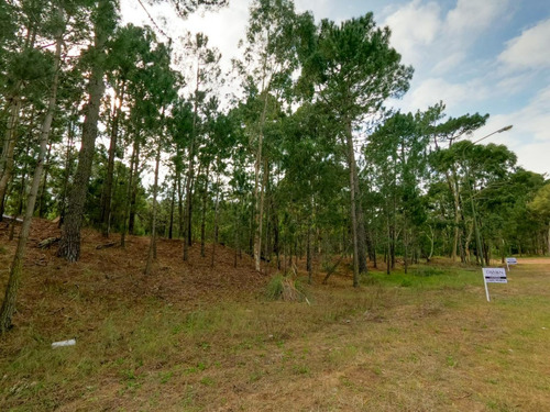 Imagen 3 de 4 de Lote Terreno Unifamiliar En Venta Pinamar Norte - Zona Alamos Ii